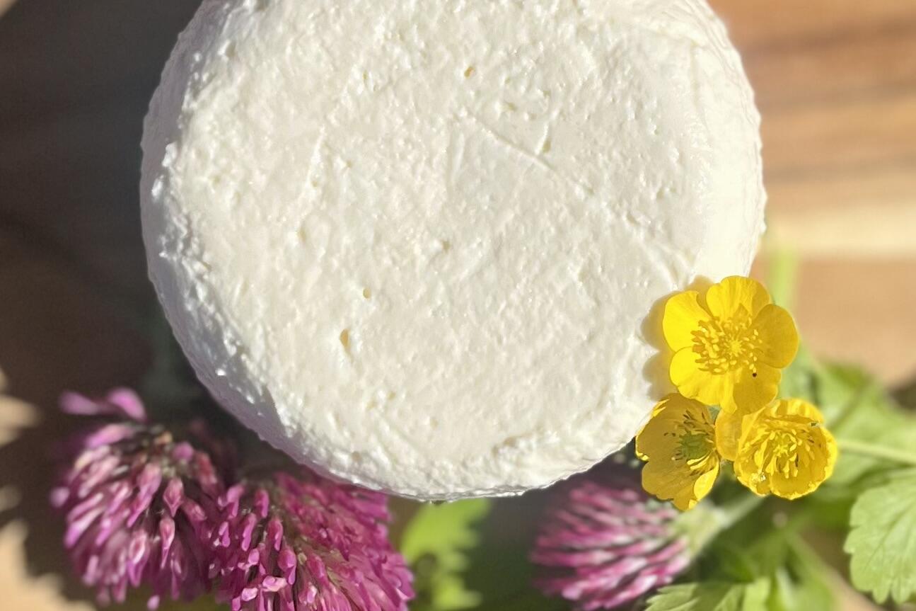 Queso fresco